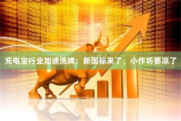 充电宝行业加速洗牌:新国标来了,小作坊要凉了