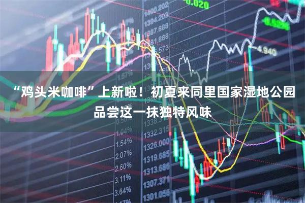 “鸡头米咖啡”上新啦！初夏来同里国家湿地公园品尝这一抹独特风味