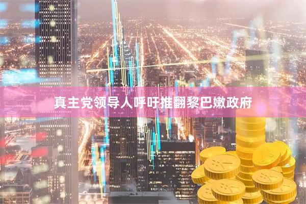 真主党领导人呼吁推翻黎巴嫩政府