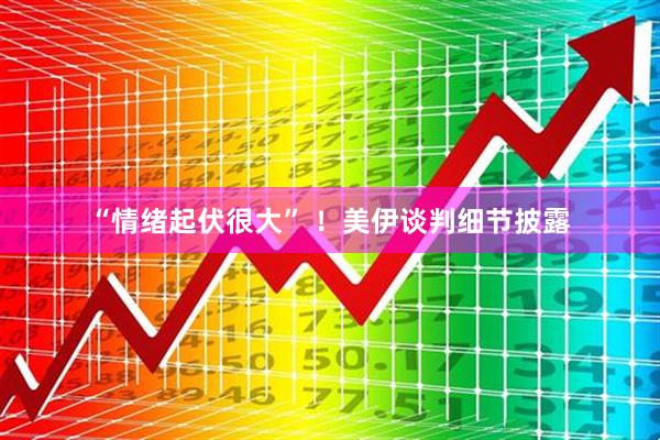 “情绪起伏很大” ！美伊谈判细节披露