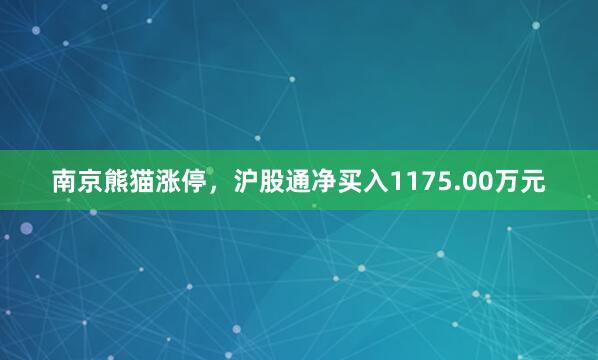 南京熊猫涨停，沪股通净买入1175.00万元