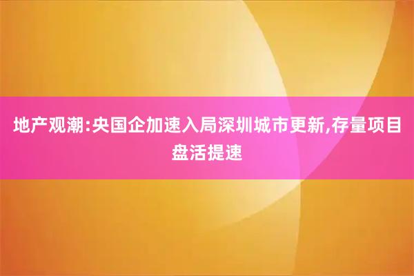 地产观潮:央国企加速入局深圳城市更新,存量项目盘活提速