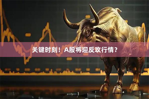关键时刻！A股将迎反攻行情？